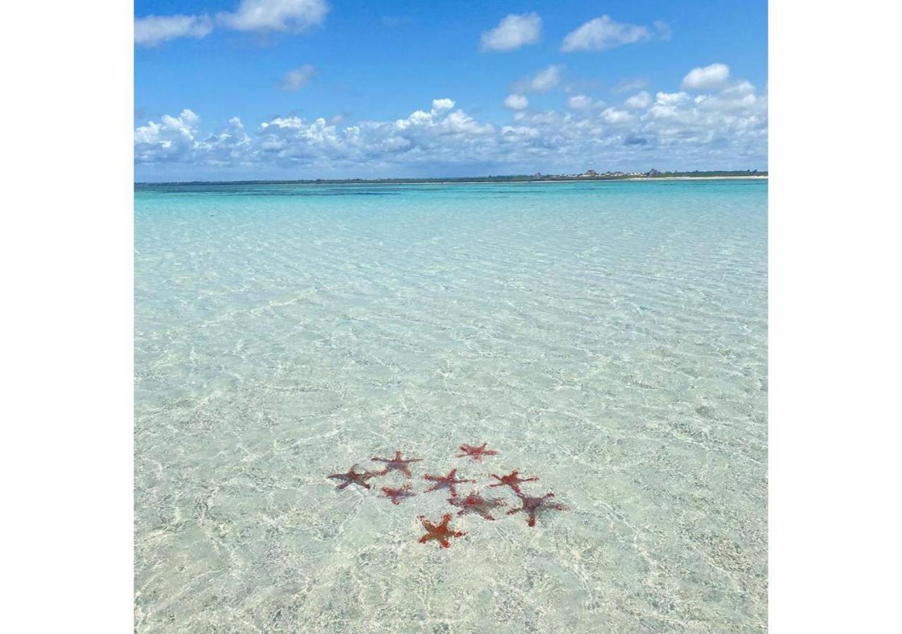 Nyota 11 - Jua Resort Watamu Buitenkant foto